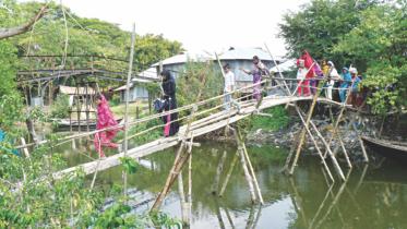 bamboo bridge risky.jpg