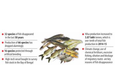 bangladesh fish production.jpg