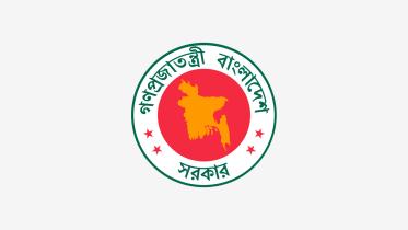 12 city corporations elected representatives removed