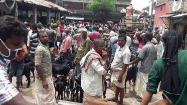 Barobabazar-goat-market.jpg