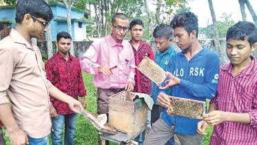 Beekeeping kutigram.jpg