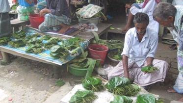 betel1.jpg