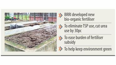 bio-organic fertiliser