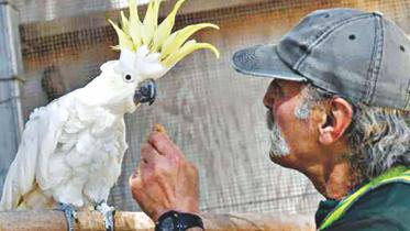 birds.jpg