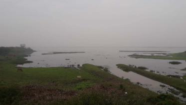 birds Baikka Beel 1.jpg