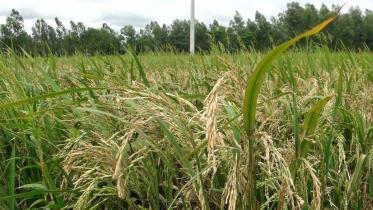 Blast attacks Boro 1.jpg