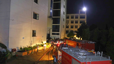 blaze in Medlar Apparels Ltd.jpg