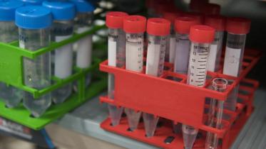 Why no blood test before marriage