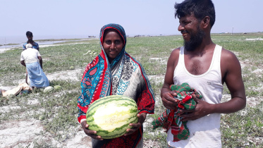 blossoming with watermelons.jpg