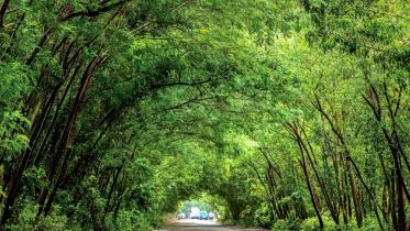 Bonayan Program of British American Tobacco Bangladesh