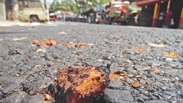 Brick chips highway 1.jpg