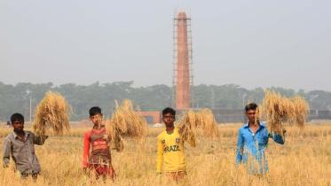 Brick kilns 11.jpg