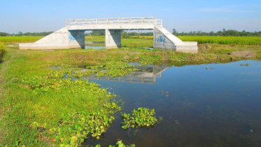 Bridge without roads.jpg