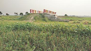 Bridges that bridge little