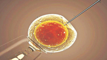 Britain's fertility regulator.jpg