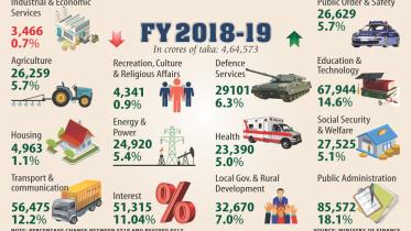 budget infograph 1.jpg