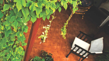 BUILD YOUR OWN LITTLE JUNGLE