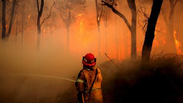 Bush-fire-wb.jpg