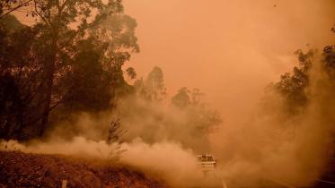 Bushfire.jpg