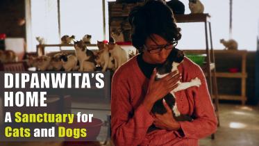 Pet Lover Dipanwita Ridi