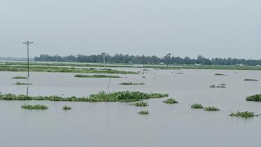 chalan-beel.jpg