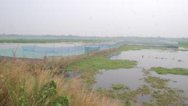 Chalan Beel.jpg
