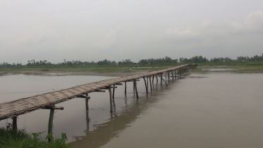 Char-people-Khuniyagachh-Lalmonirhat-build-bamboo-bridge.jpg