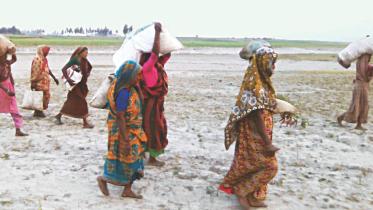 char women's life.jpg