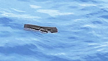 Chilean plane.jpg