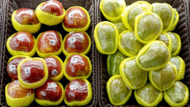 China plastic.jpg