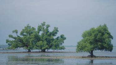 climate change issue.jpg