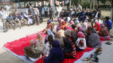 Collectorate assistants.jpg