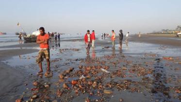 Concrete debris Kuakata 1.jpg