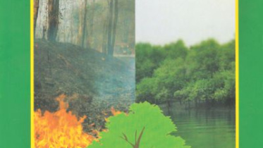 Contemporary Environmental Challenges in Bangladesh