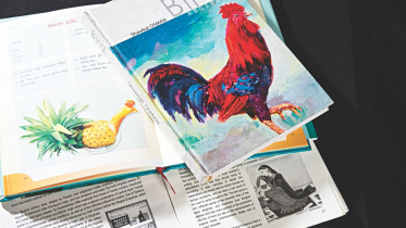 Cookbooks for rookies