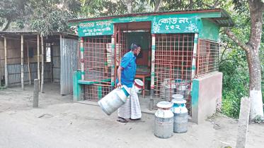 Corona woe dairy farmers 1.jpg