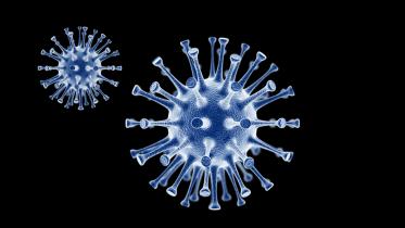 Bangladeshi national affected by coronavirus
