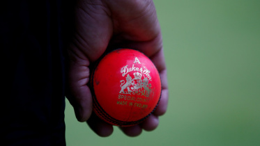 Cricket ball (1).jpg