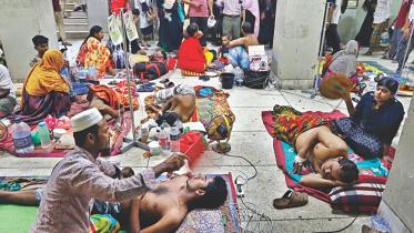 Dengue fever in Bangladesh