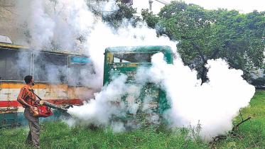 Dengue control 1.jpg