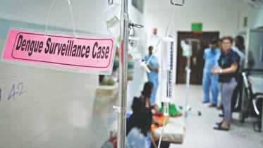 dengue outbreaks.jpg