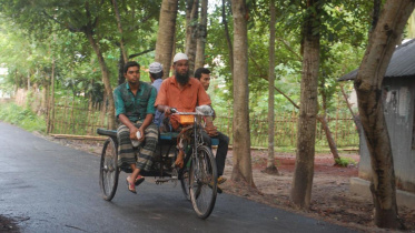 Determination way.jpg