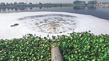 Dhaleshwari Poisoning 1.jpg