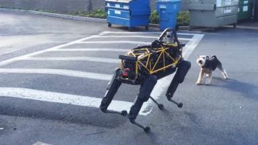 dog-robodog-yt-wb.jpg