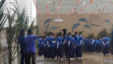 World Dolphin Day 2019