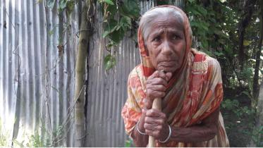 dream first vote.jpg