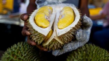 Durian fruit