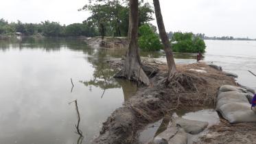 Dyke collapse lalmonirhat.jpg