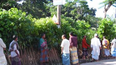 Ecology under threat.jpg