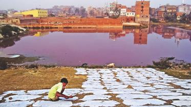 economic development and environmental protection